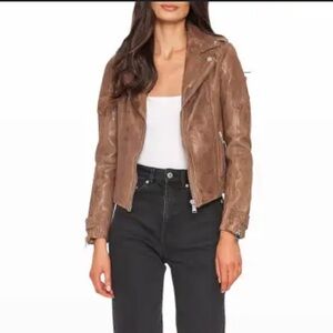 NWT Lamarque Chloe Leather Biker Jacket